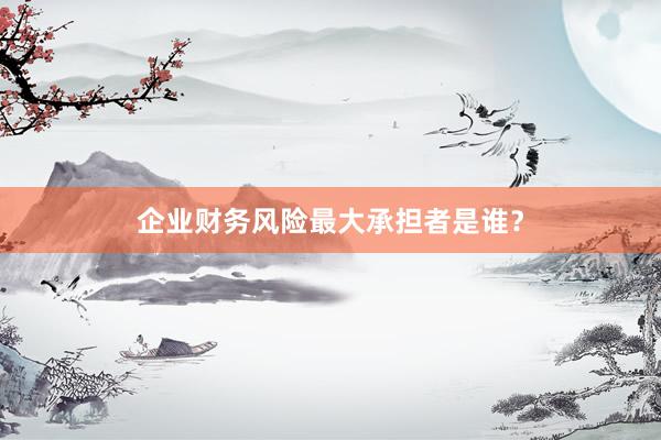 企业财务风险最大承担者是谁？
